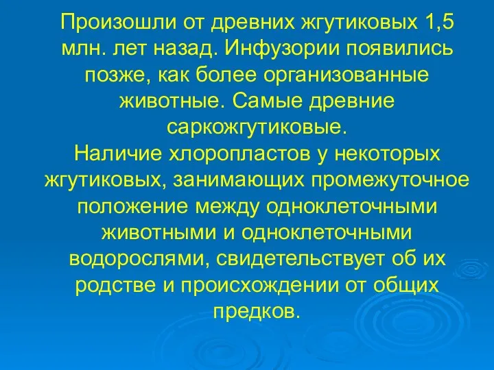 Произошли от древних жгутиковых 1,5 млн. лет назад. Инфузории появились позже,