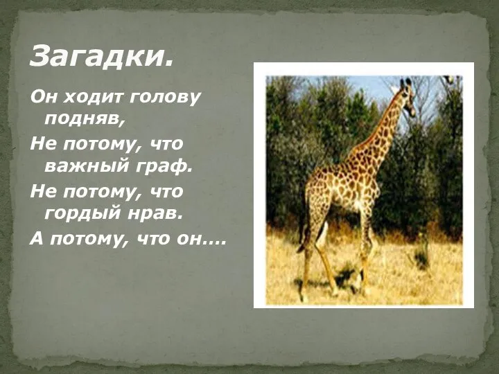 Загадки. Он ходит голову подняв, Не потому, что важный граф. Не