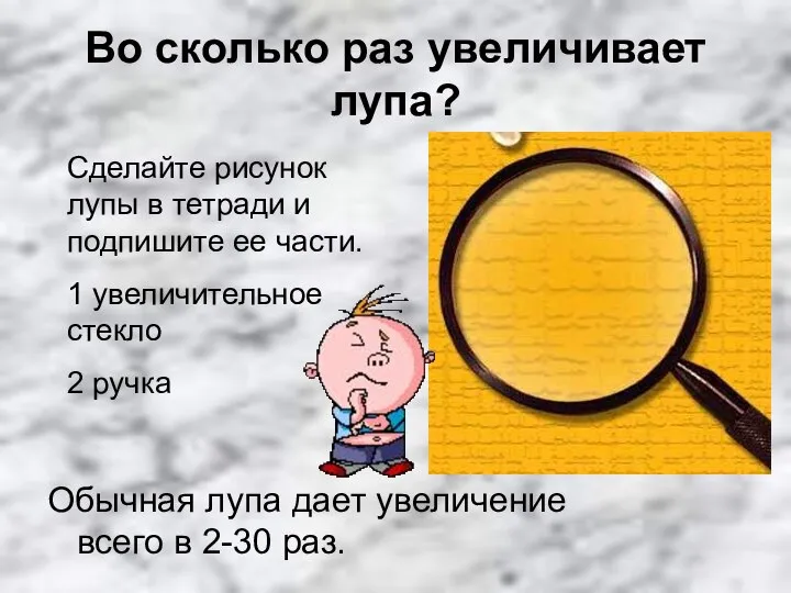 Во сколько раз увеличивает лупа? Обычная лупа дает увеличение всего в