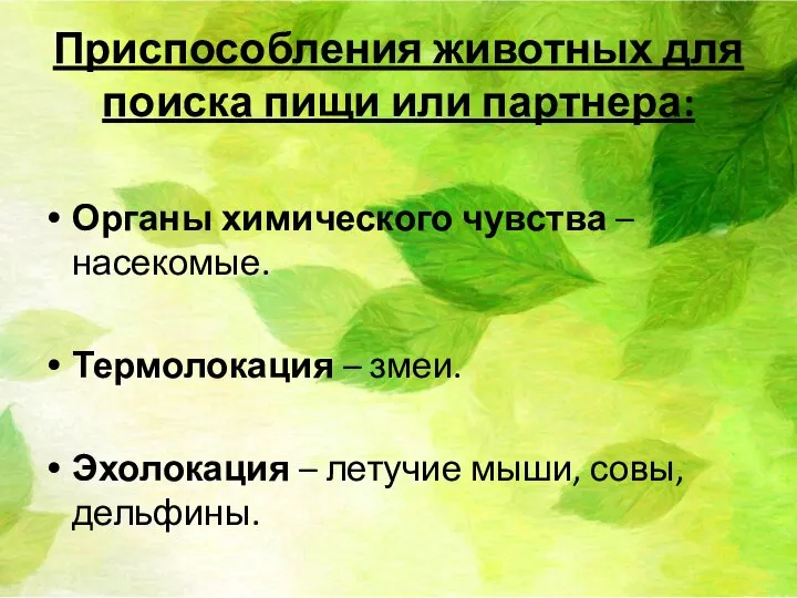 Приспособления животных для поиска пищи или партнера: Органы химического чувства –