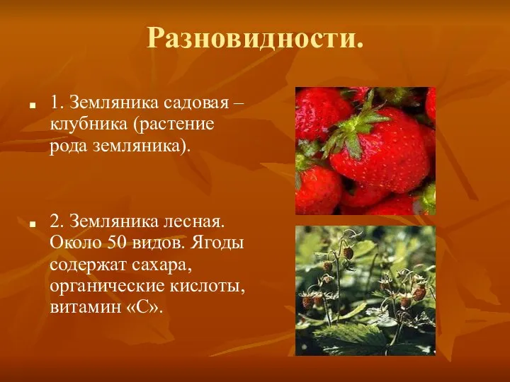 Разновидности. 1. Земляника садовая – клубника (растение рода земляника). 2. Земляника