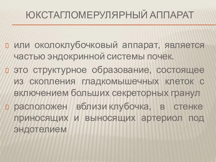 Юкстагломерулярный аппарат или околоклубочковый аппарат, является частью эндокринной системы почек. это