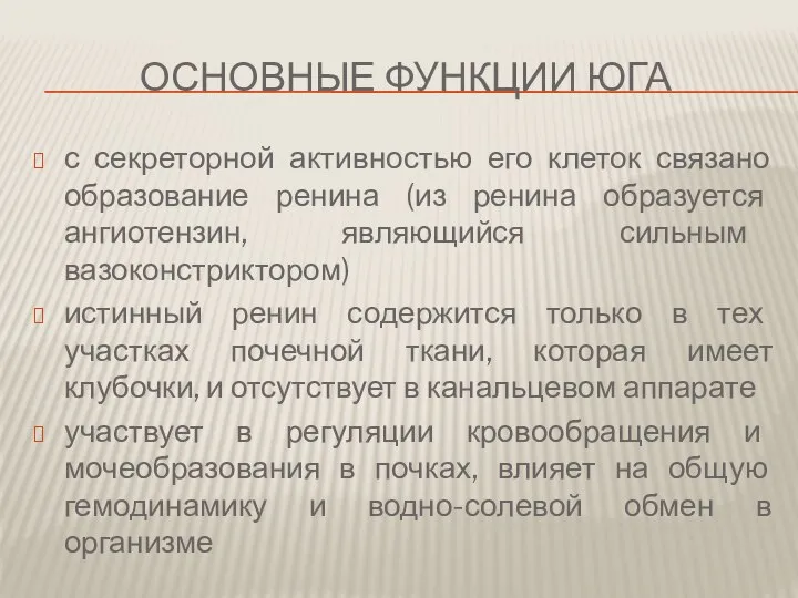 основные Функции ЮГА с секреторной активностью его клеток связано образование ренина