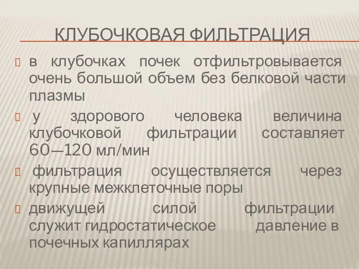 Клубочковая фильтрация в клубочках почек отфильтровывается очень большой объем без белковой