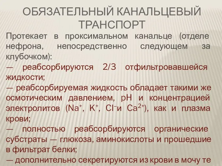 Протекает в проксимальном канальце (отделе нефрона, непосредственно следующем за клубочком): —