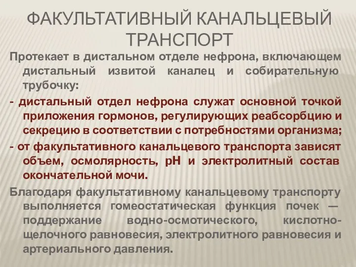 Протекает в дистальном отделе нефрона, включающем дистальный извитой каналец и собирательную