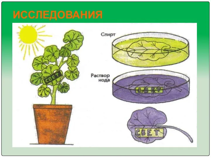 ИССЛЕДОВАНИЯ