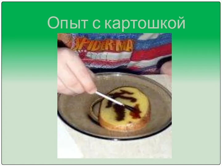 Опыт с картошкой