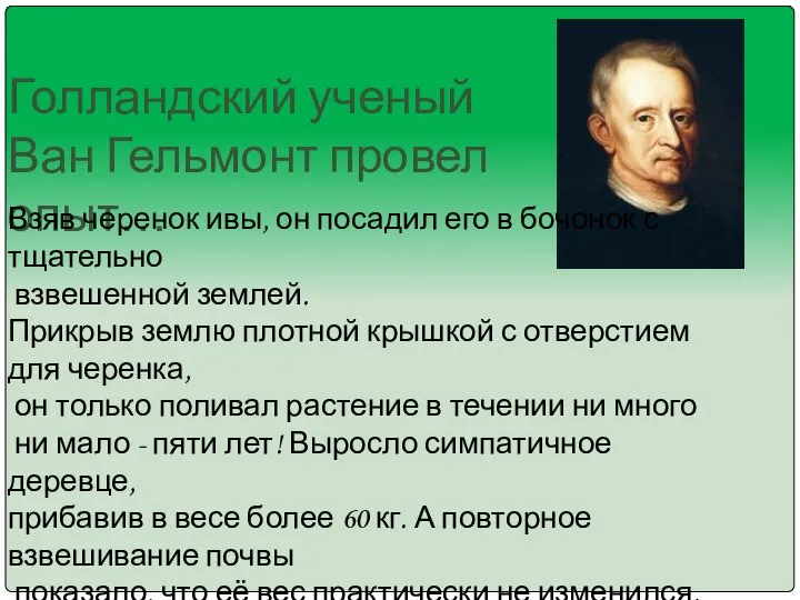 Голландский ученый Ван Гельмонт провел опыт… Взяв черенок ивы, он посадил