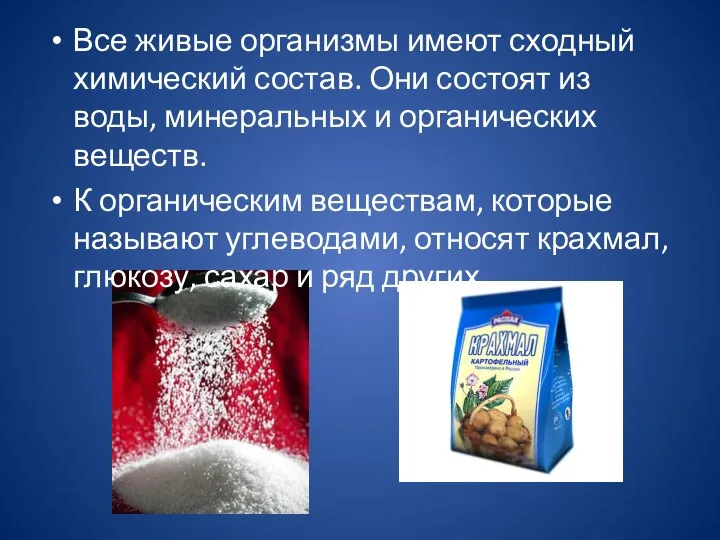 Все живые организмы имеют сходный химический состав. Они состоят из воды,