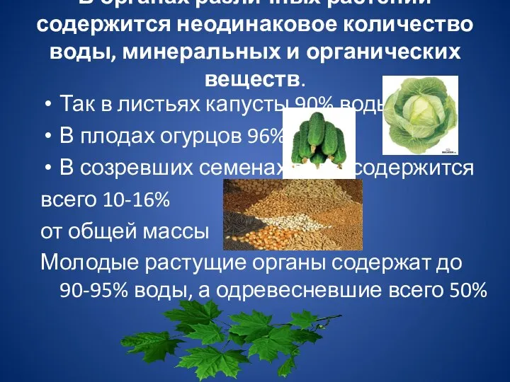 В органах различных растений содержится неодинаковое количество воды, минеральных и органических