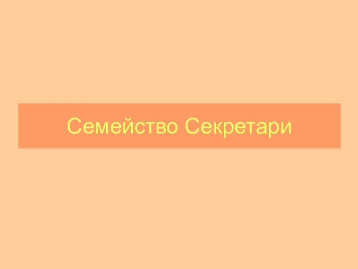 Семейство Секретари