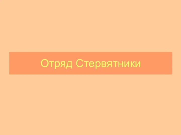 Отряд Стервятники