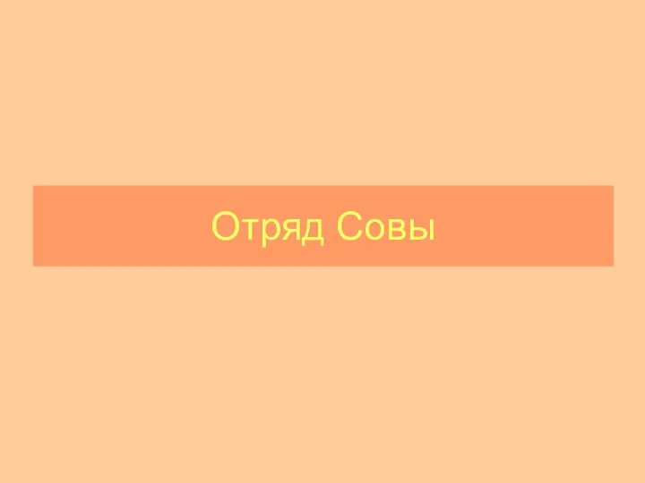 Отряд Совы