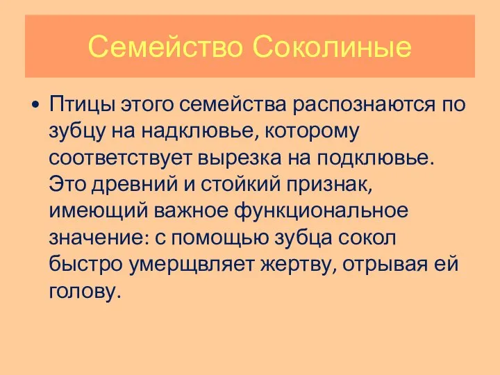 Семейство Соколиные Птицы этого семейства распознаются по зубцу на надклювье, которому