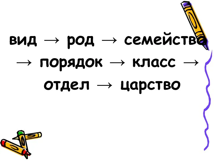 вид → род → семейство → порядок → класс → отдел → царство