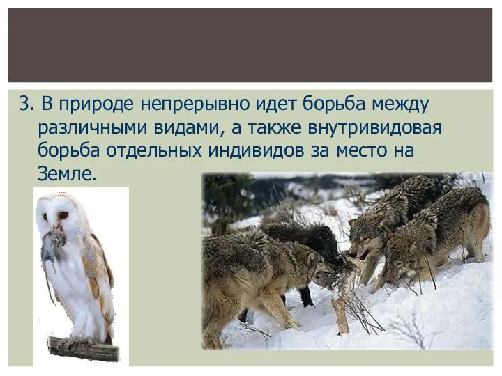 3. В природе непрерывно идет борьба между различными видами, а также