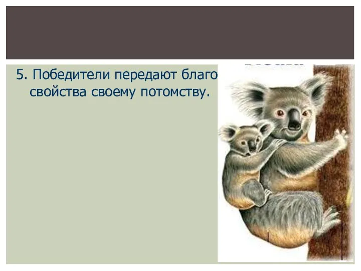 5. Победители передают благоприятные свойства своему потомству.