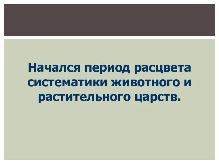 Начался период расцвета систематики животного и растительного царств.