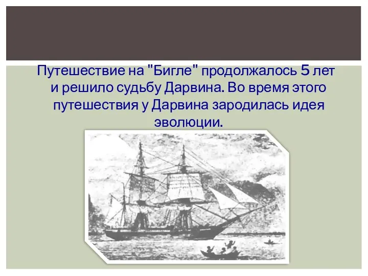 Путешествие на "Бигле" продолжалось 5 лет и решило судьбу Дарвина. Во