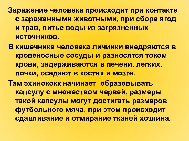 Заражение человека происходит при контакте с зараженными животными, при сборе ягод