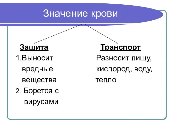 Значение крови Защита Транспорт 1.Выносит Разносит пищу, вредные кислород, воду, вещества тепло 2. Борется с вирусами