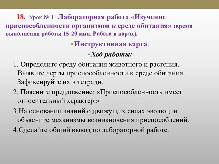 18. Урок № 11 Лабораторная работа «Изучение приспособленности организмов к среде