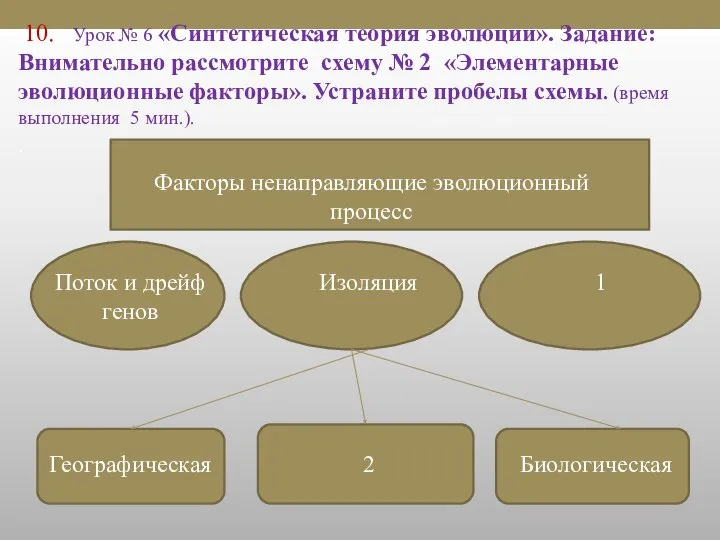 10. Урок № 6 «Синтетическая теория эволюции». Задание: Внимательно рассмотрите схему