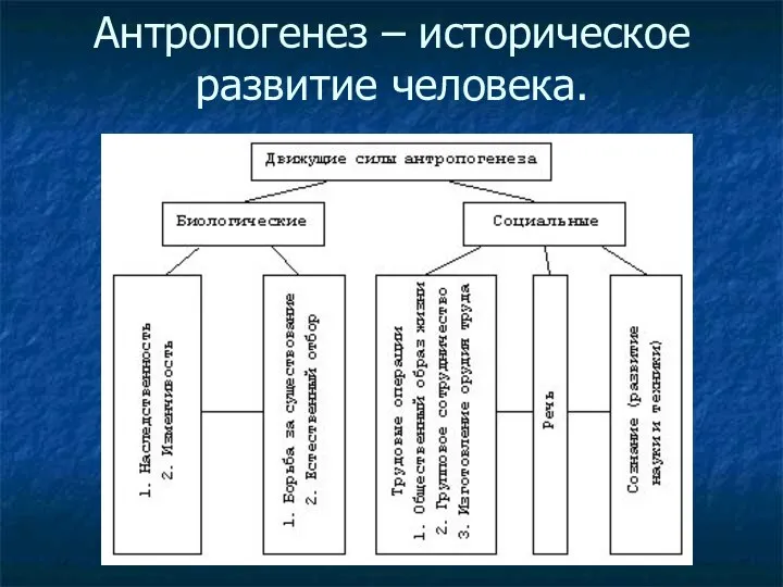 Антропогенез – историческое развитие человека.