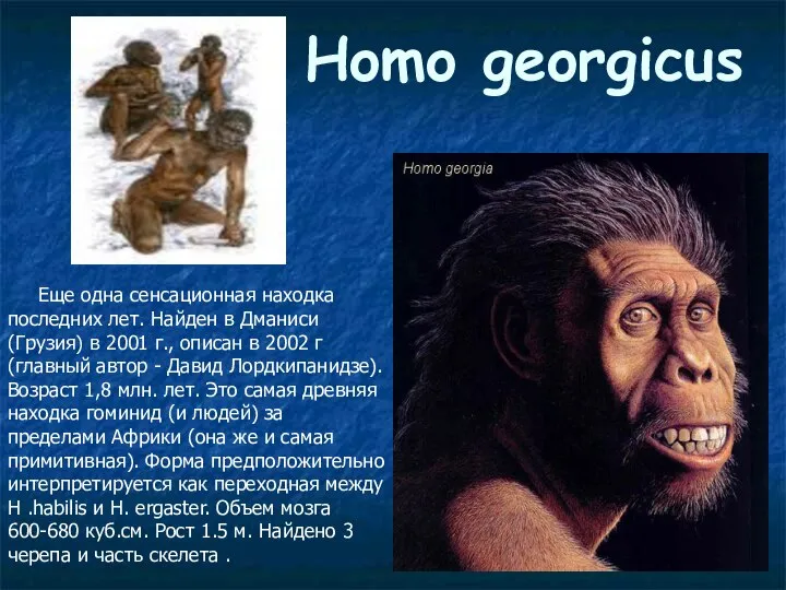 Homo georgicus Еще одна сенсационная находка последних лет. Найден в Дманиси