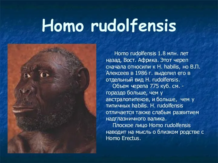 Homo rudolfensis Homo rudolfensis 1.8 млн. лет назад, Вост. Африка. Этот