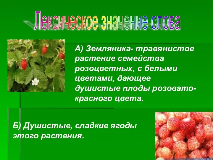 Лексическое значение слова А) Земляника- травянистое растение семейства розоцветных, с белыми