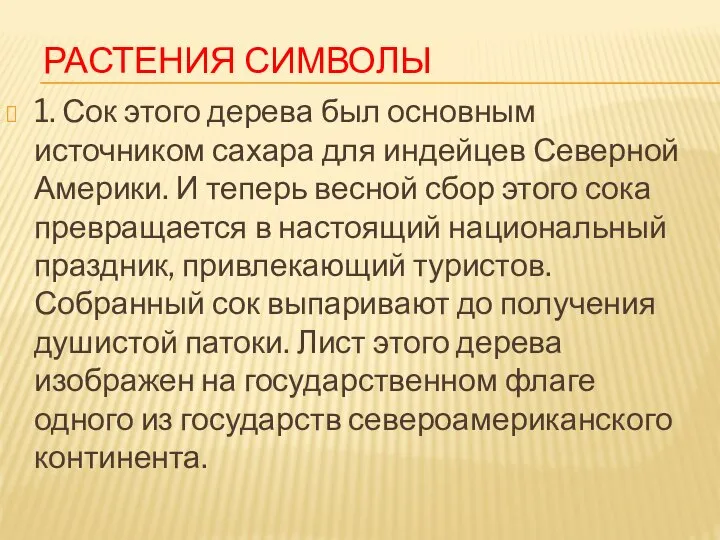 Растения символы 1. Сок этого дерева был основным источником сахара для