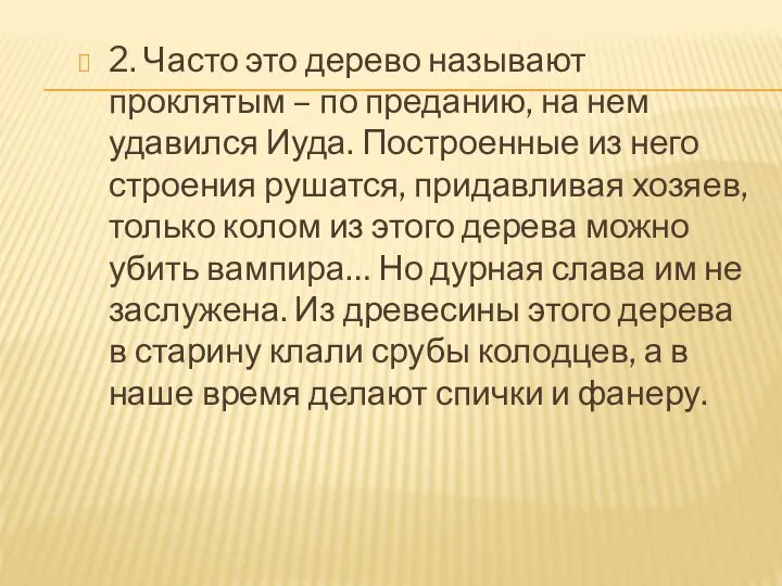 2. Часто это дерево называют проклятым – по преданию, на нем