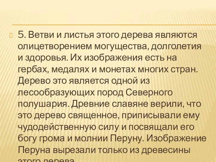 5. Ветви и листья этого дерева являются олицетворением могущества, долголетия и