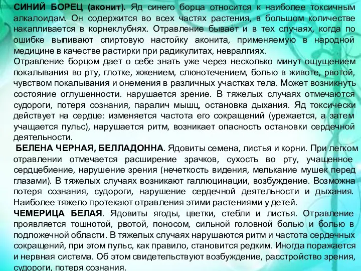 СИНИЙ БОРЕЦ (аконит). Яд синего борца относится к наиболее токсичным алкалоидам.