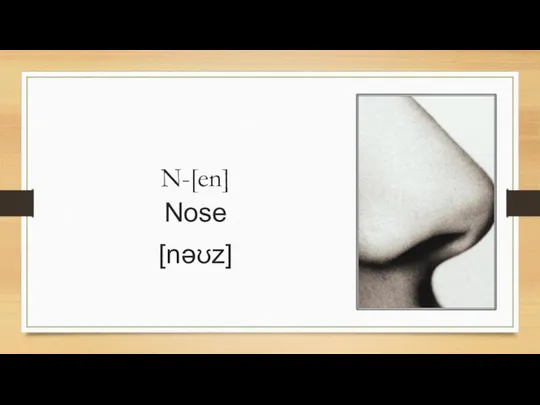 N-[en] Nose [nəʊz]