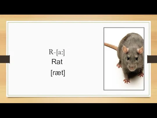 R-[a:] Rat [ræt]