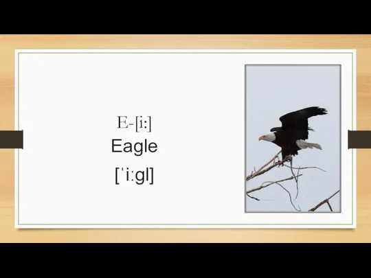 E-[i:] Eagle [ˈiːɡl]