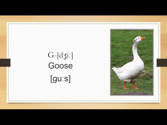 G-[dʒiː] Goose [ɡuːs]