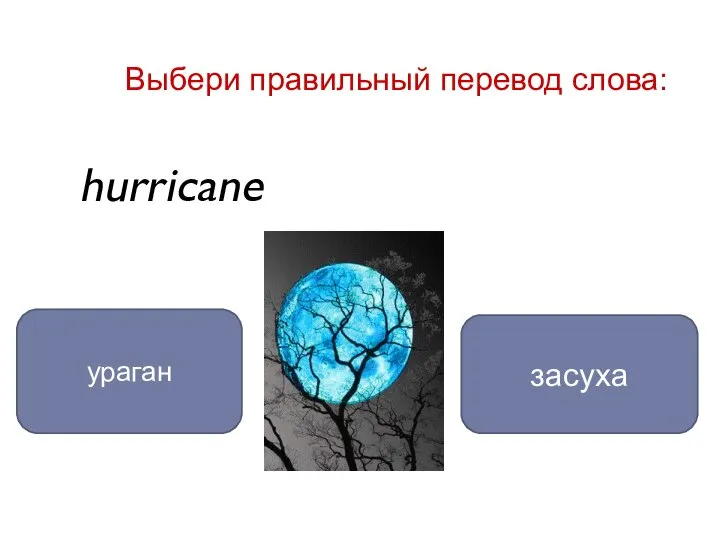 hurricane ураган засуха Выбери правильный перевод слова: