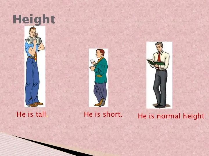 Height He is tall. He is short. He is normal height.