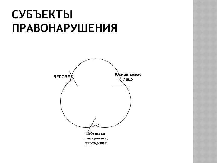 СУБЪЕКТЫ ПРАВОНАРУШЕНИЯ