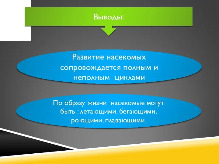 Выводы: Развитие насекомых сопровождается полным и неполным циклами По образу жизни