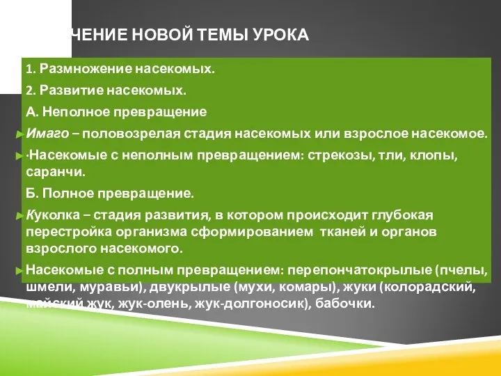 ИЗУЧЕНИЕ НОВОЙ ТЕМЫ УРОКА 1. Размножение насекомых. 2. Развитие насекомых. А.