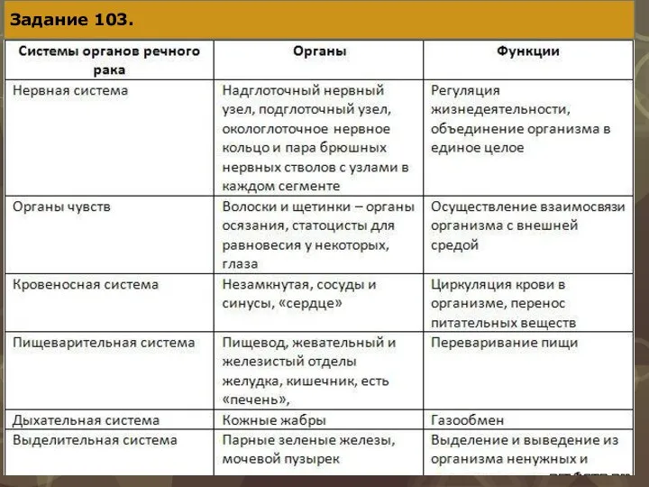 Задание 103.