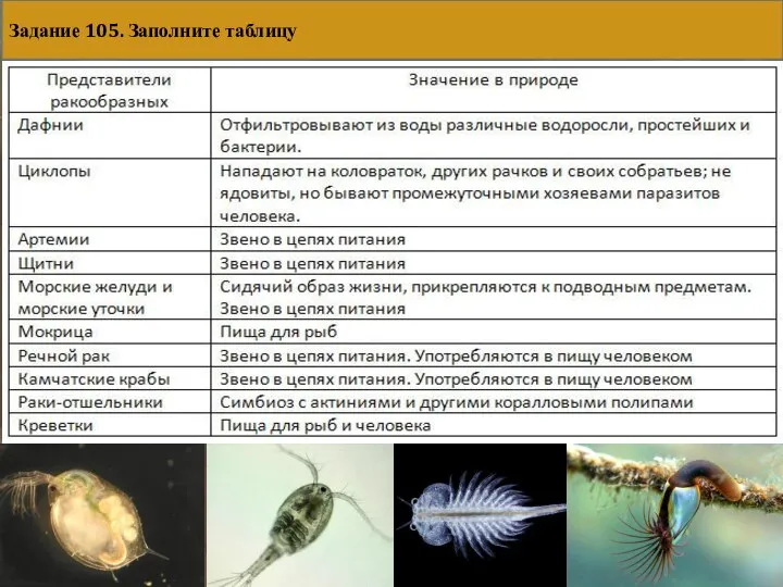 Задание 105. Заполните таблицу