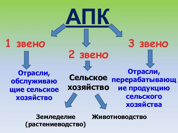 АПК 1 звено 2 звено 3 звено Отрасли, обслуживаю щие сельское