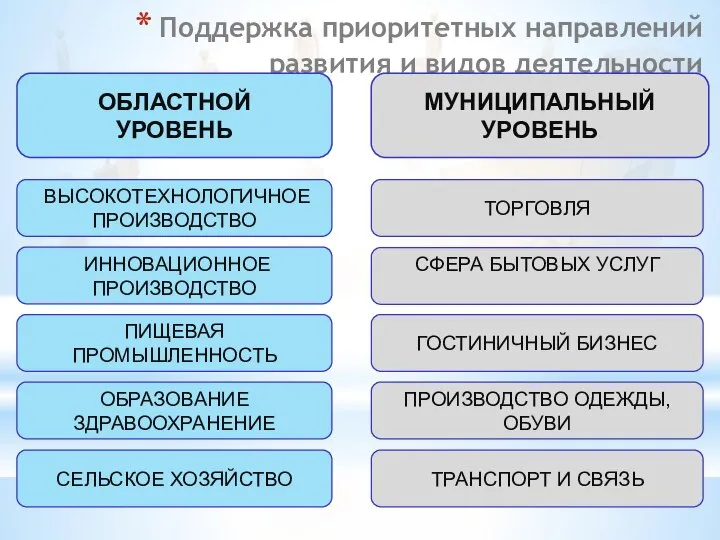 Поддержка приоритетных направлений развития и видов деятельности ОБЛАСТНОЙ УРОВЕНЬ МУНИЦИПАЛЬНЫЙ УРОВЕНЬ