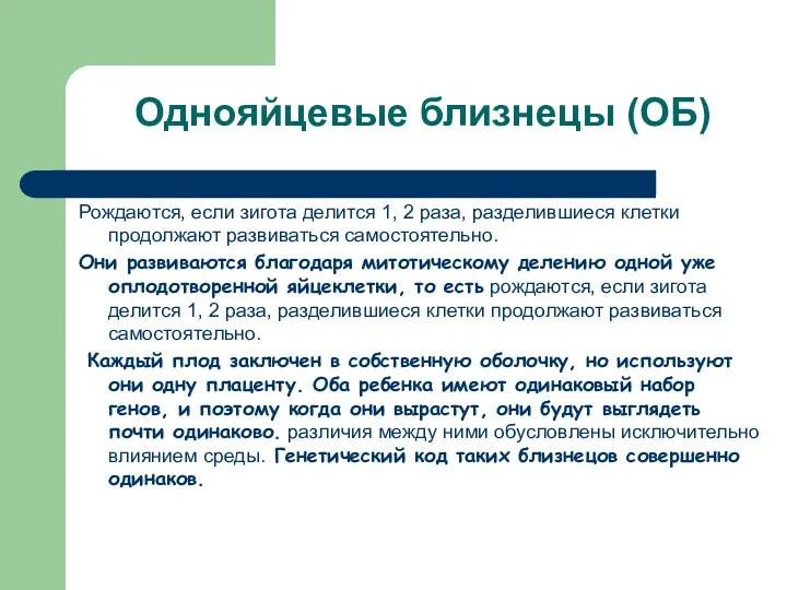 Однояйцевые близнецы (ОБ) Рождаются, если зигота делится 1, 2 раза, разделившиеся